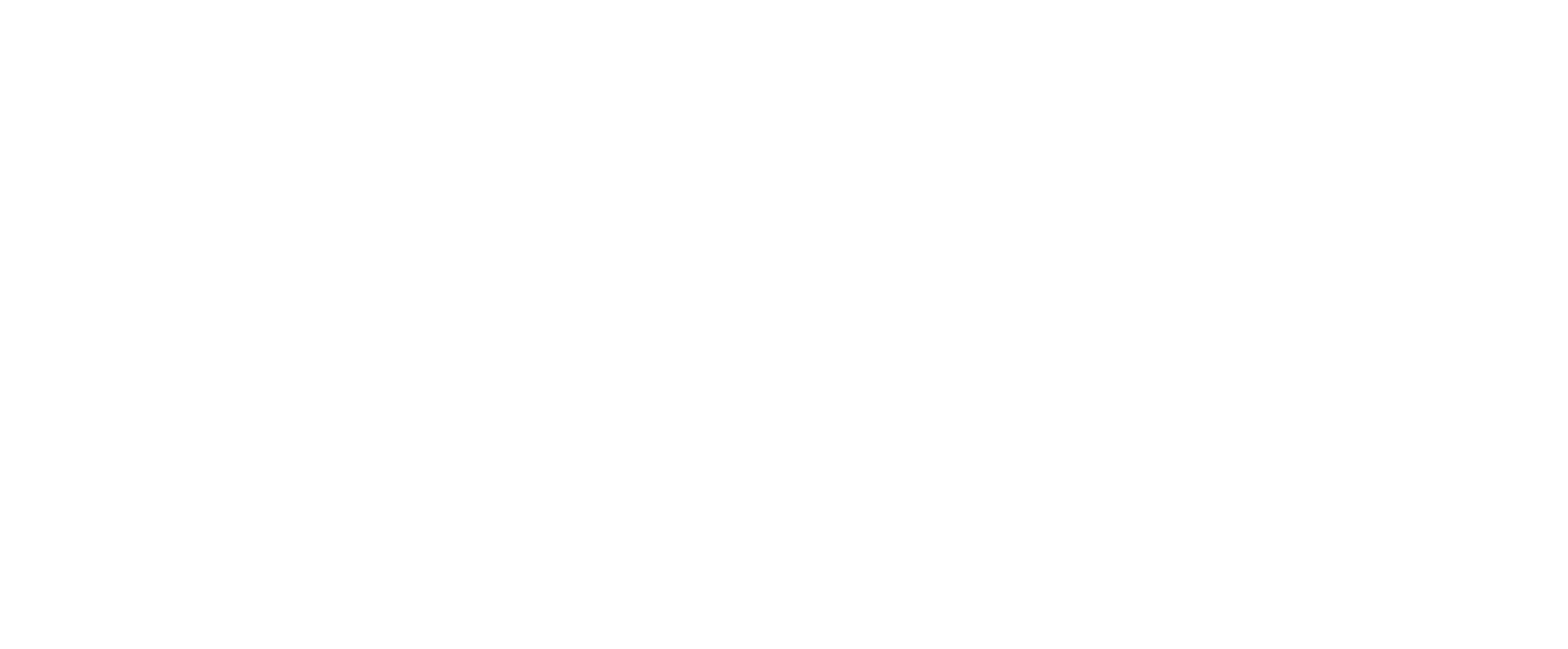 bambuni-logo-white bambuni-logo-white